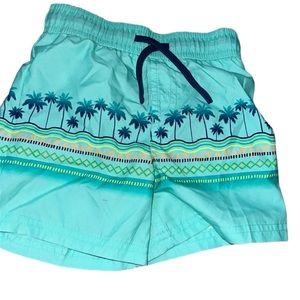 Swimming Trunks